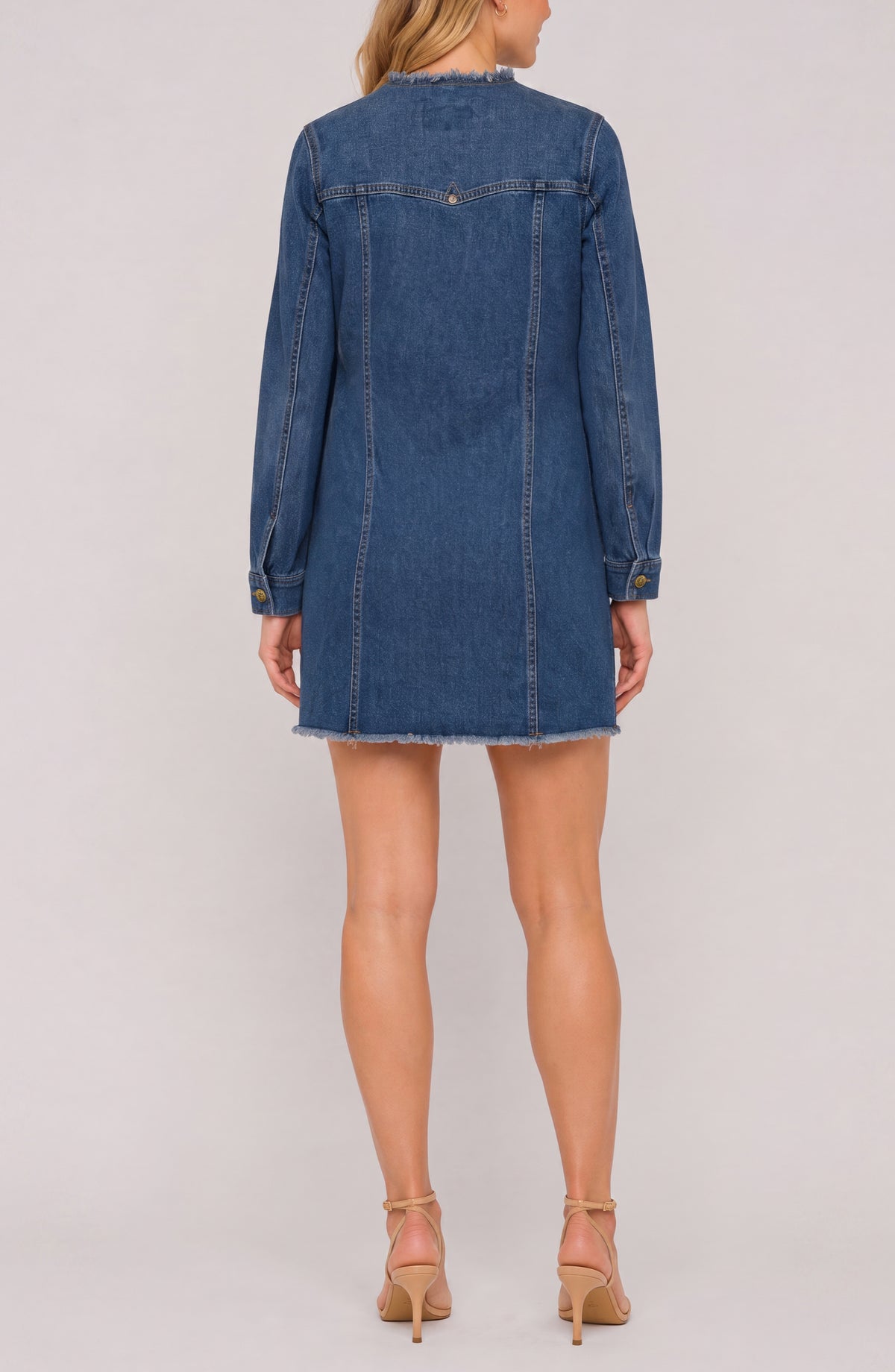 Liverpool Collarless Trucker Dress