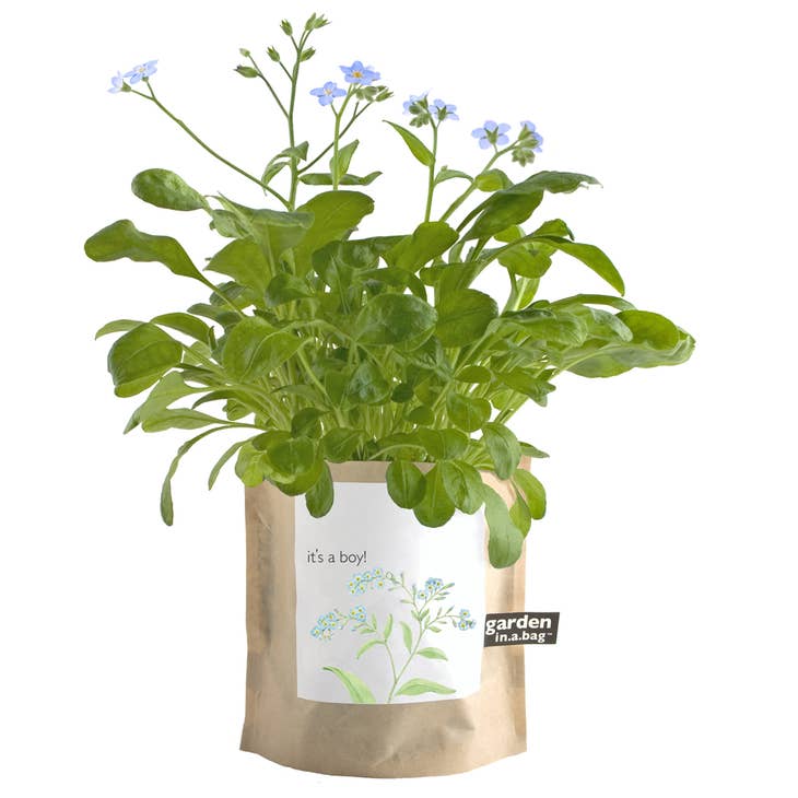 Garden in a Bag It's a Boy