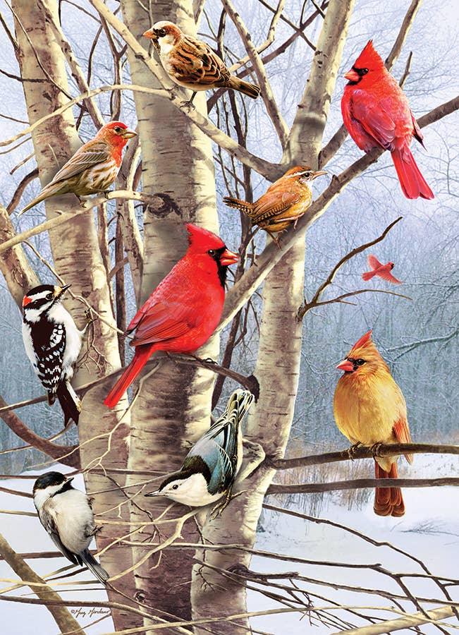 Winter Birds 1000pc puzzle