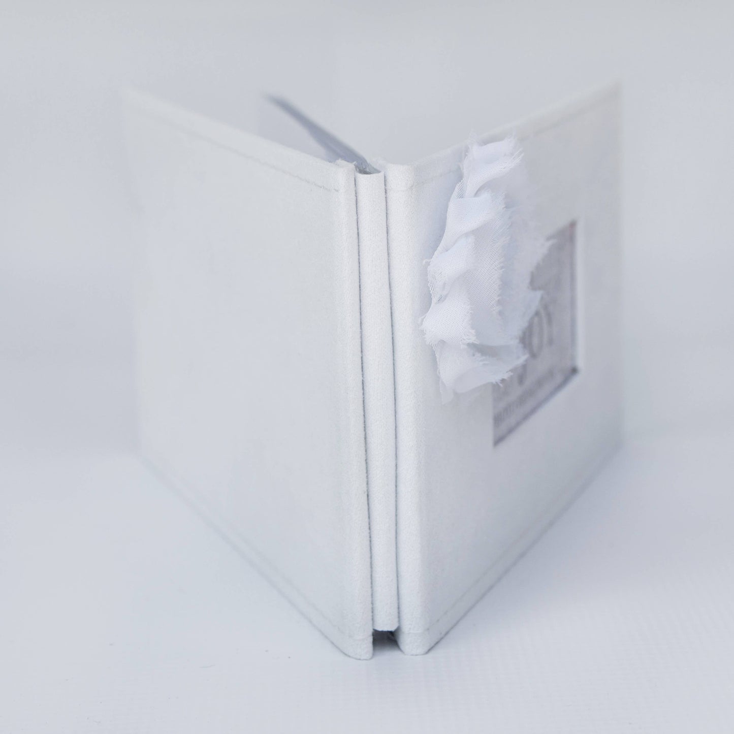 Grandma's Joy Brag Book: Photo Album for Grandmother