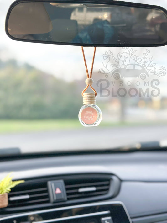 Hanging Car Air Freshener + Odor Eliminator