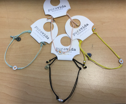 Puravida Gold Daisy